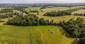 Wild Meadow, Lodge Farm, East Raynham